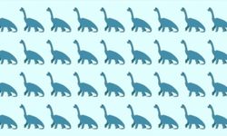 Dinozorlara bakın, farklı olanı ayırın! Tam bir süper zeka işi...