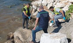 Denize atık su deşarj eden Yalova Belediyesi'ne 1,3 milyon lira ceza kesildi