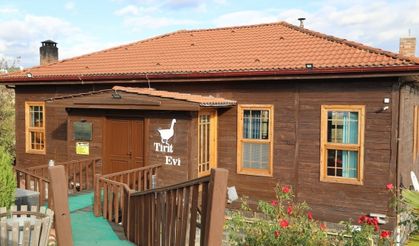 KAVAK’TA TİRİT ŞÖLENİ BAŞLIYOR