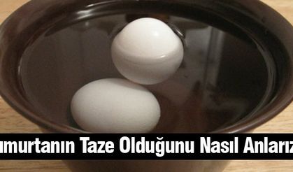 Yumurtanın Taze Olduğunu Nasıl Anlarız?