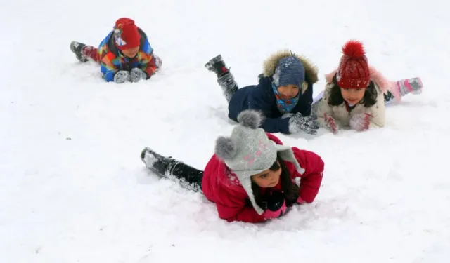 Kar yağışı nedeniyle okulların tatil edildiği iller
