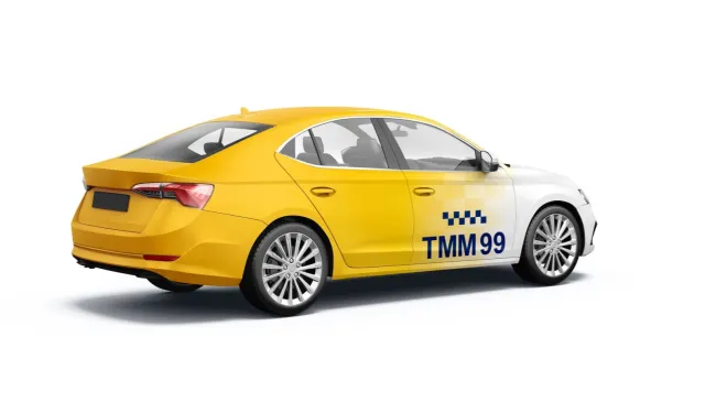 İstanbul'da 250 taksi plakası için ihale 7 Ekim'de... 29 yıllık ruhsat fırsatı!