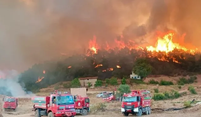Orman yangınlarıyla mücadelede gönüllülere yeni haklar... Orman gönüllüleri de 'şehit' statüsüne alındı