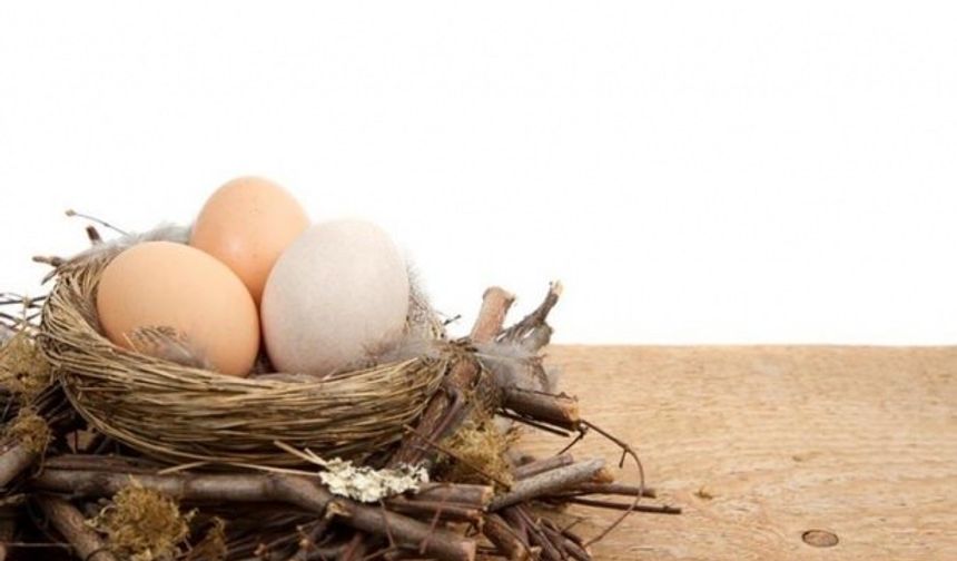 Beyaz ve kahverengi yumurta arasındaki fark nedir?