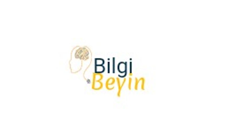 Bilgi Beyin